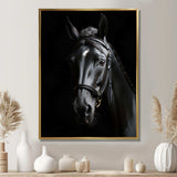 Black And White Horse Elegance - Animals Canvas Wall Art