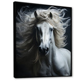 White Horse Fierce Intensity - Horse Wall Art Prints