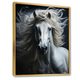 White Horse Fierce Intensity - Horse Wall Art Prints
