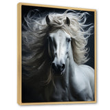 White Horse Fierce Intensity - Horse Wall Art Prints