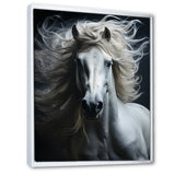 White Horse Fierce Intensity - Horse Wall Art Prints