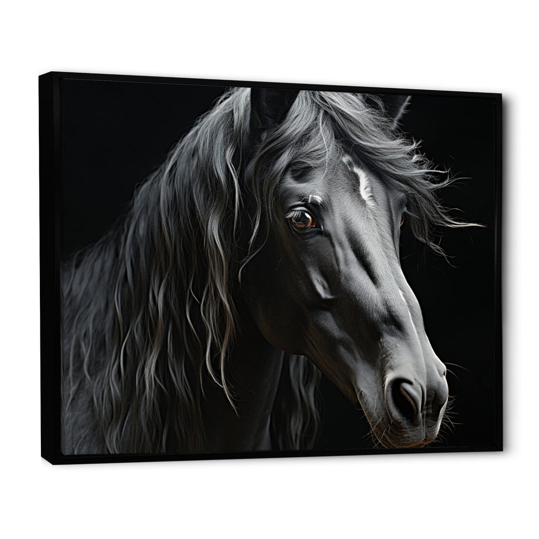Black White Horse Portrait - Horse Canvas Wall Art
