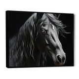 Black White Horse Portrait - Horse Canvas Wall Art