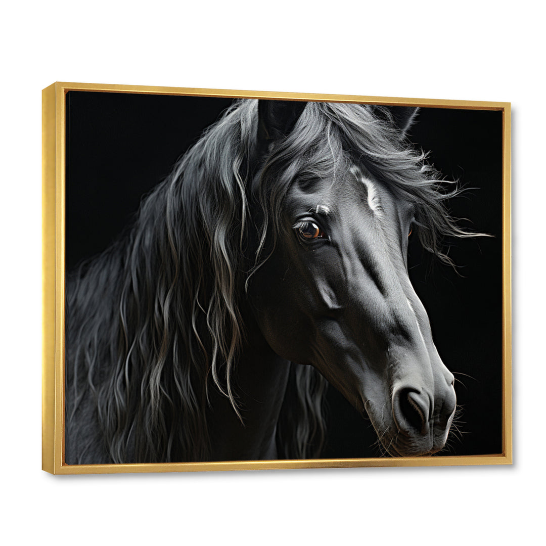 Black White Horse Portrait - Horse Canvas Wall Art