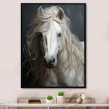 White Horse Subtle Whispers - Horse Canvas Wall Art
