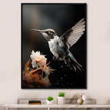 Black White Hummingbird Energetic - Hummingbird Wall Decor