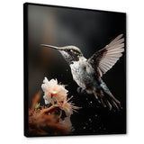 Black White Hummingbird Energetic - Hummingbird Wall Decor