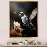 Black White Hummingbird Energetic - Hummingbird Wall Decor