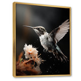 Black White Hummingbird Energetic - Hummingbird Wall Decor