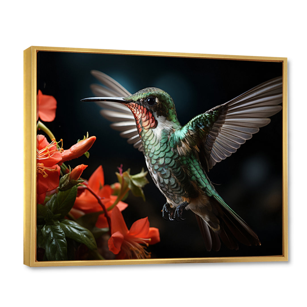 Teal Coral Hummingbird Portrait - Teal Hummingbird Wall Art
