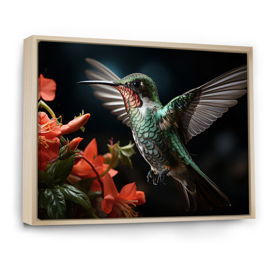 Teal Coral Hummingbird Portrait - Teal Hummingbird Wall Art