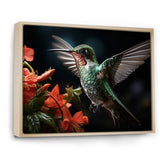 Teal Coral Hummingbird Portrait - Teal Hummingbird Wall Art