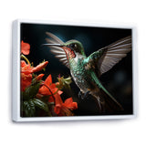 Teal Coral Hummingbird Portrait - Teal Hummingbird Wall Art