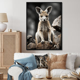 Kangaroo Bound - Kangaroo Home Decor Art