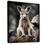 Kangaroo Bound - Kangaroo Home Decor Art