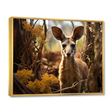 Kangaroo Portrait - Kangaroo Canvas Wall Art