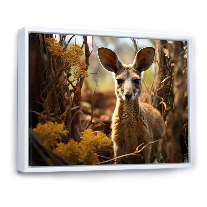 Kangaroo Portrait - Kangaroo Canvas Wall Art