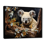 Koala Kudos - Koala Wall Decor