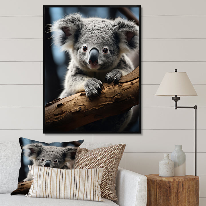 Koala Koalas Serenity - Koala Wall Art Prints