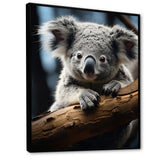 Koala Koalas Serenity - Koala Wall Art Prints