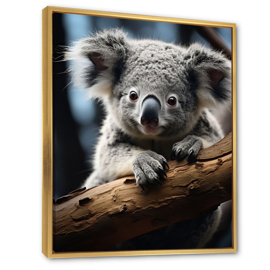 Koala Koalas Serenity - Koala Wall Art Prints
