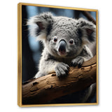Koala Koalas Serenity - Koala Wall Art Prints