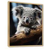 Koala Koalas Serenity - Koala Wall Art Prints