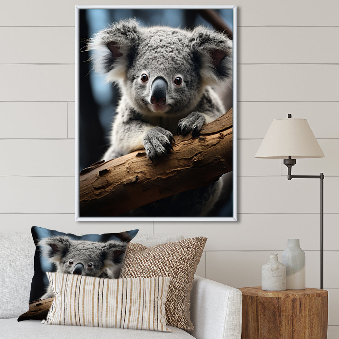 Koala Koalas Serenity - Koala Wall Art Prints