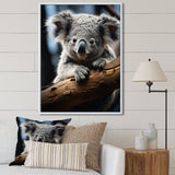 Koala Koalas Serenity - Koala Wall Art Prints