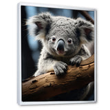 Koala Koalas Serenity - Koala Wall Art Prints