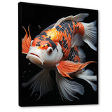 Orange Kois Fish Bold Contrasts - Koi's Fish Framed Canvas Art