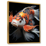Orange Kois Fish Bold Contrasts - Koi's Fish Framed Canvas Art