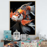 Orange Kois Fish Bold Contrasts - Koi's Fish Framed Canvas Art