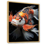 Orange Kois Fish Bold Contrasts - Koi's Fish Framed Canvas Art