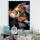 Orange Kois Fish Bold Contrasts - Koi's Fish Framed Canvas Art