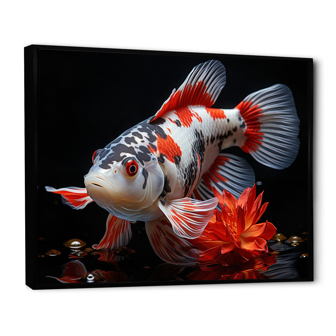 Coral Kois Fish Enigmatic Patterns - Koi&