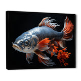 Coral Kois Fish Gentle Beauty - Koi's Fish Bedroom Wall Art