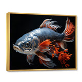 Coral Kois Fish Gentle Beauty - Koi's Fish Bedroom Wall Art