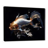 Gold Kois Fish Mysterious Shadows - Koi's Fish Canvas Wall Art
