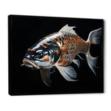 Gold Kois Fish Serene Reflections - Koi's Fish Wall Art Prints