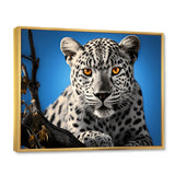 Blue Monochrome Leopard Portrait - Leopard Canvas Wall Art