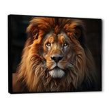 Lion Portrait - Lion Wall Decor