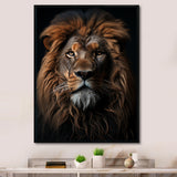 Lion Regal King Portrait - Brown Lion Wall Art