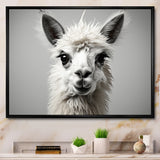 Grey Llama Gentle Llama - Llama Canvas Wall Art