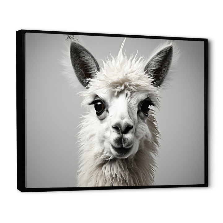 Grey Llama Gentle Llama - Llama Canvas Wall Art