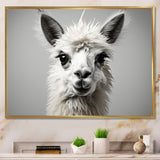 Grey Llama Gentle Llama - Llama Canvas Wall Art