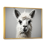Grey Llama Gentle Llama - Llama Canvas Wall Art