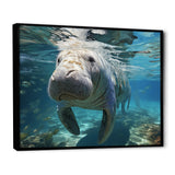 Turquoise Grey Manatee Majesty - Manatee Bedroom Wall Art