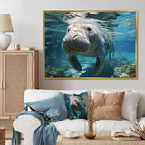 Turquoise Grey Manatee Majesty - Manatee Bedroom Wall Art