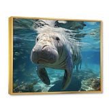 Turquoise Grey Manatee Majesty - Manatee Bedroom Wall Art